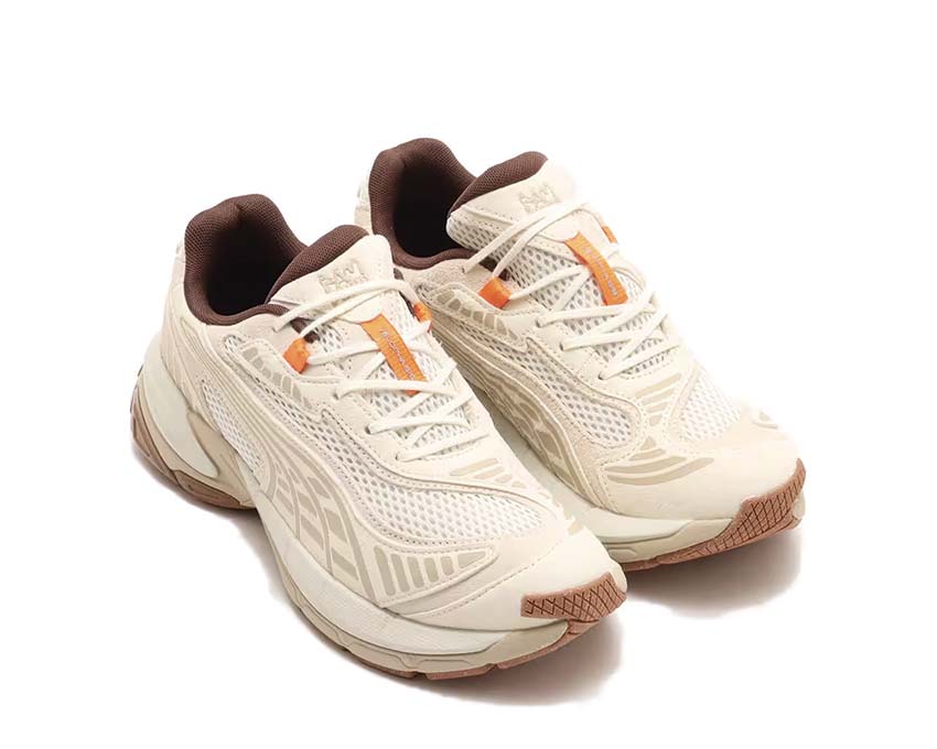 Puma velophasis v002
